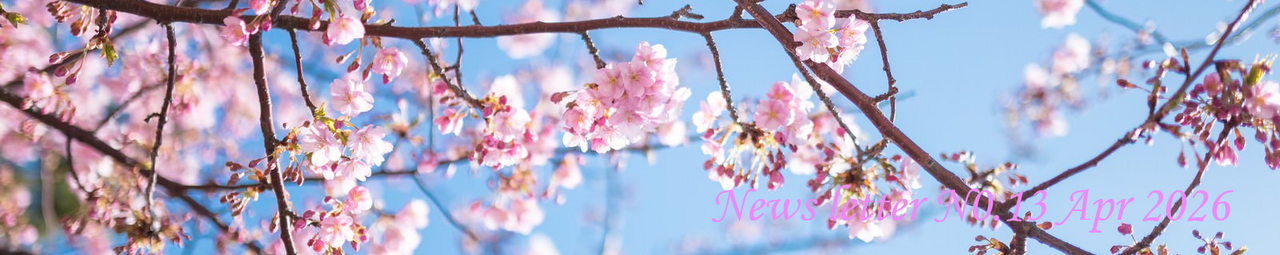 Newsletter from JICA-Learning Network (No.013 Apr 2026)