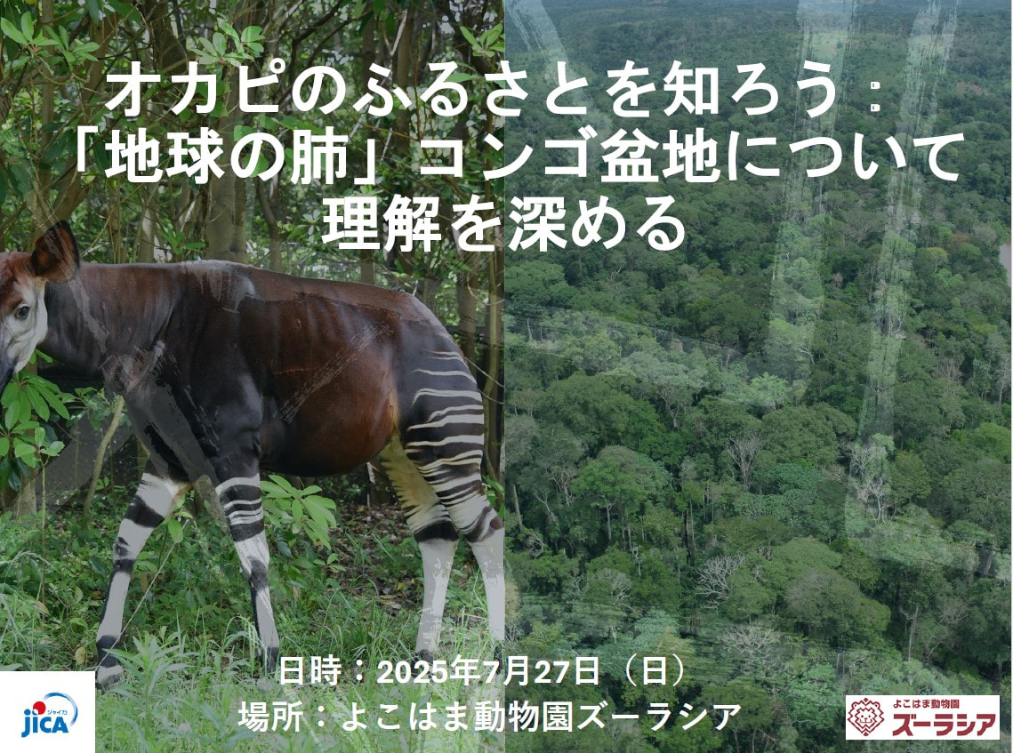 2025年7月27日に開催された、オカピとそのふるさとコンゴ盆地を紹介するイベントの動画 前半(日本語通訳付き) 2025年7月27日に開催された、オカピとそのふるさとコンゴ盆地を紹介するイベントの動画 前半(日本語通訳付き)